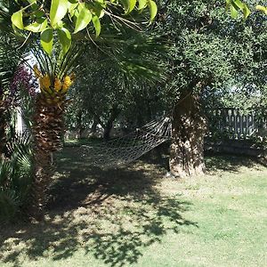 B&B Margherita